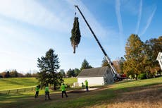 Árbol de Navidad del Rockefeller Center llega a Nueva York
