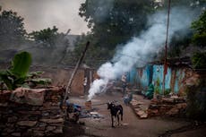 ONU: Se logró una buena solución negociada en la COP26