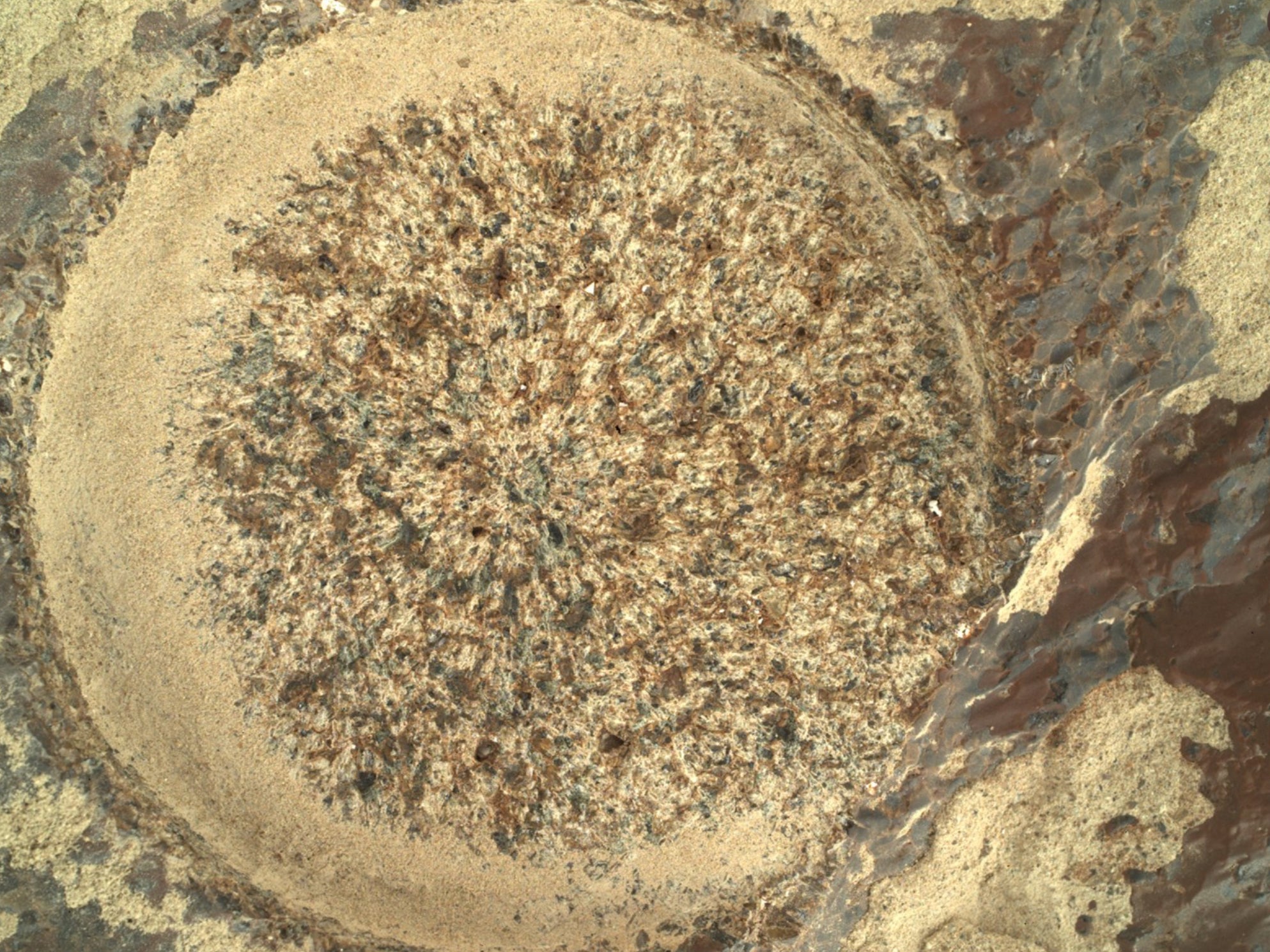 Gente cree haber visto un extraterrestre en las últimas imágenes del Mars Rover de la NASA