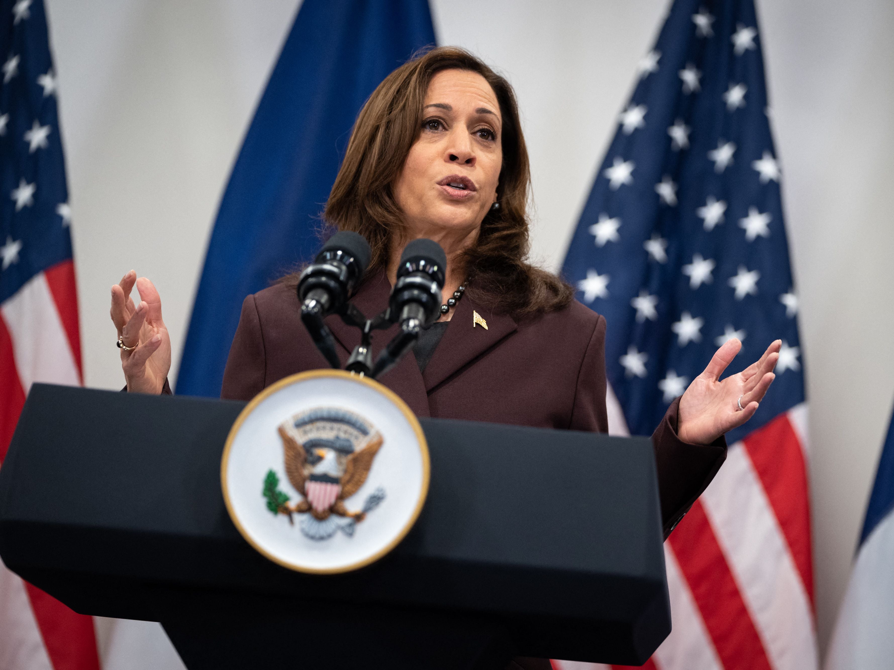 Kamala Harris niega desavenencias con Biden e insiste en que no está siendo “infrautilizada”