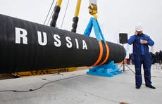 Agencia alemana suspende la certificación de gasoducto ruso