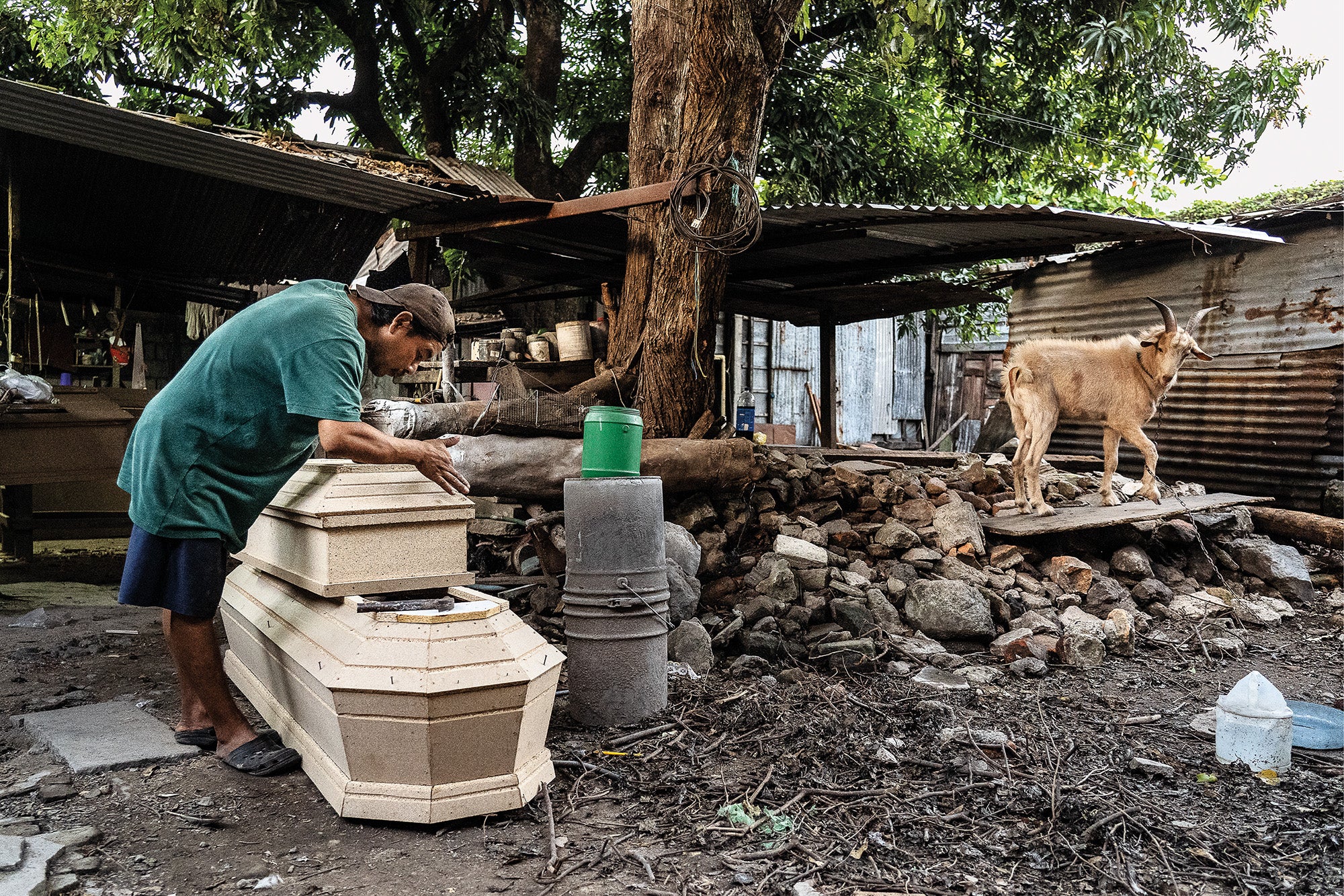 Un hombre prepara ataúdes en su taller mientras su cabra lo mira, en San Salvador