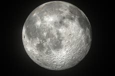 Un cohete de SpaceX está por estrellarse contra la Luna; así es como puedes verlo
