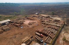 Fuentes: Brasil ocultó datos de deforestación por COP26