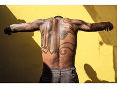 ‘Sin salida’: Libro de fotografías de la brutal cultura de pandillas en El Salvador