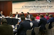 Rodríguez Ceja: Banco de México analiza incorporar la alternativa digital de la moneda