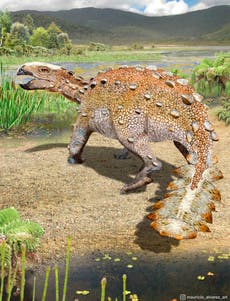 Dinosaurio en Chile tenía una cola cortante única: estudio