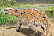 Dinosaurio en Chile tenía una cola cortante única: estudio