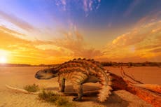 Científicos encuentran nuevo y extraño dinosaurio con cola de hacha en Chile