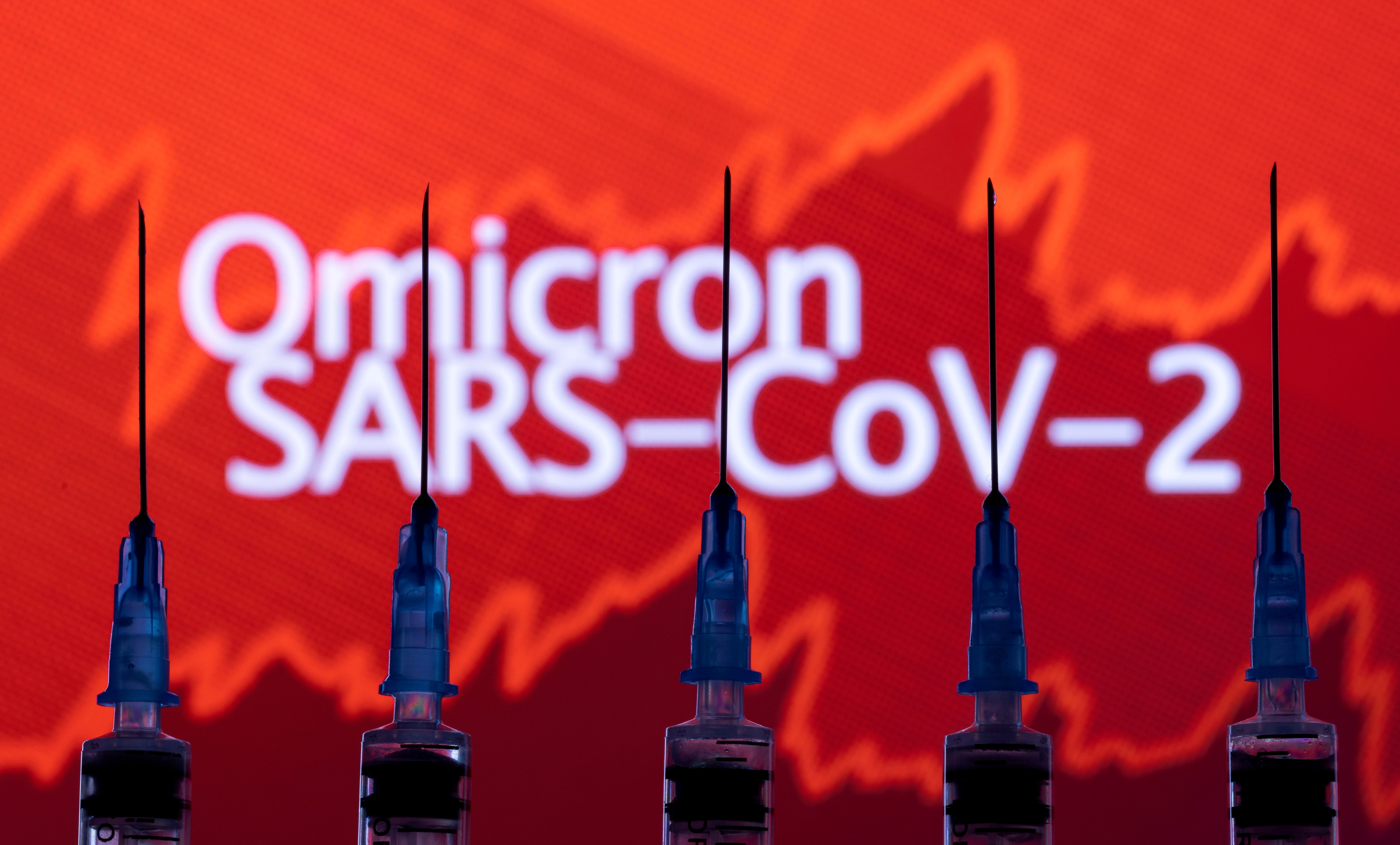 Syringes with needles are seen in front of a displayed stock graph and words "Omicron SARS-CoV-2" in this illustration taken, November 27, 2021