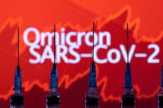 Detectan primer caso de la variante ómicron en México