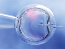 Nueva investigación sobre embriones mejoraría fecundación y allanaría el camino hacia una píldora sin hormonas