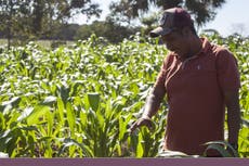 Estados Unidos apoyará programas de AMLO para fomentar el desarrollo en Centroamérica