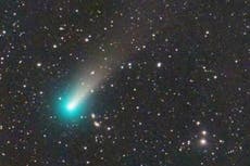 El asombroso cometa Leonard, de color verde brillante, es visible a simple vista