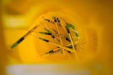 Preocupa a OMS que países ricos acaparen vacunas COVID-19