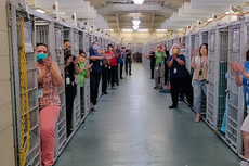 Refugio de animales celebra que todas sus mascotas fueron adoptadas