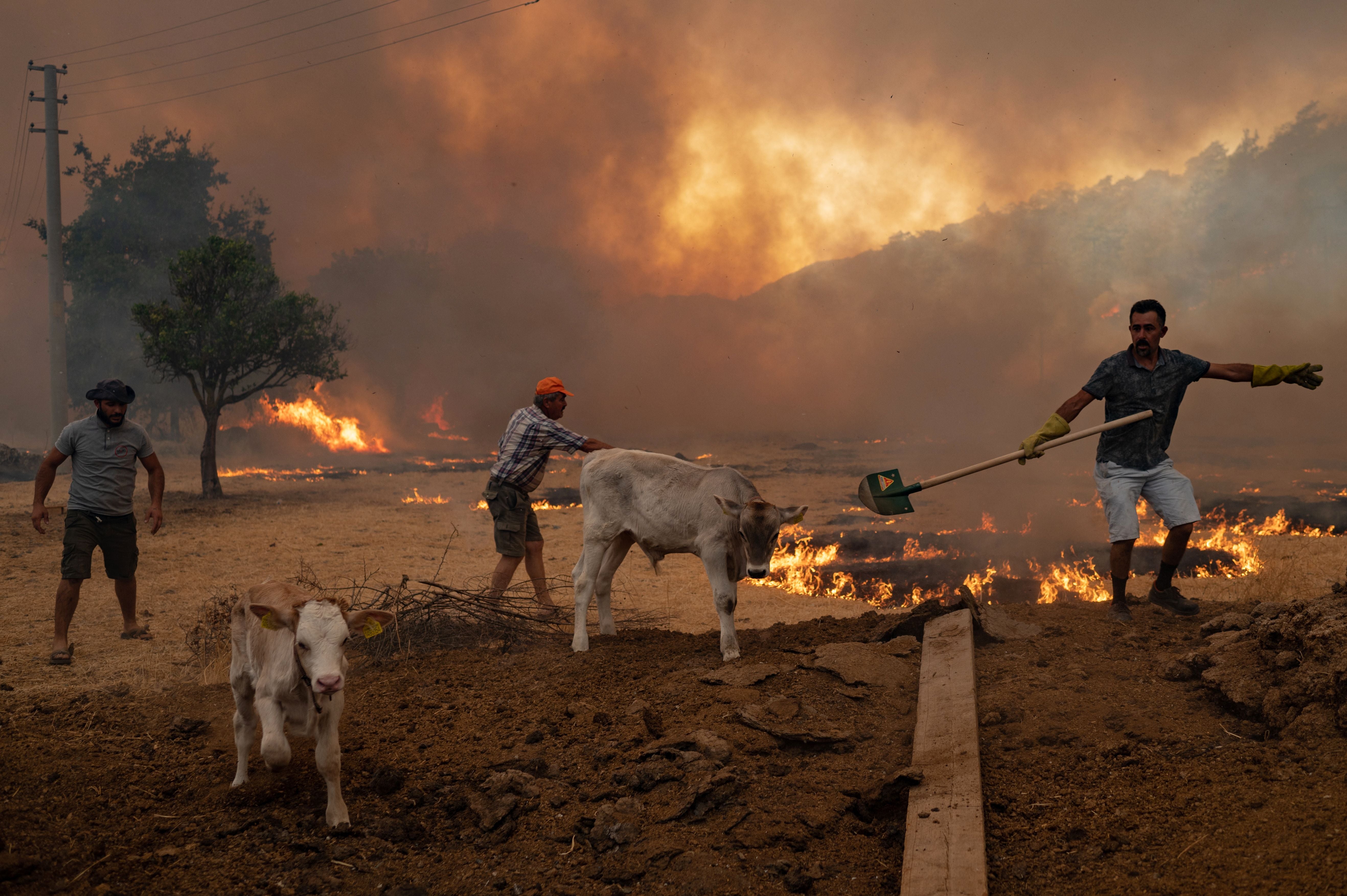 El calor no se va: la NASA informa que la Tierra alcanza el sexto año más cálido registrado
