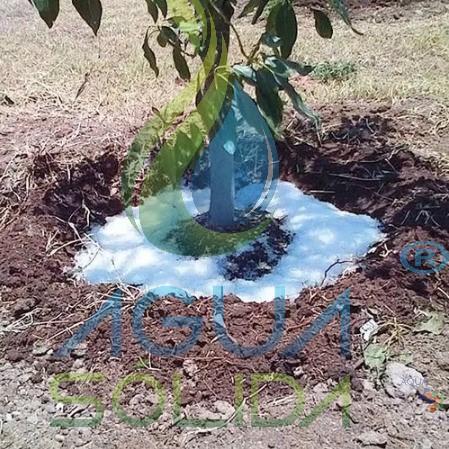 Mexicanos resuelven escasez de agua con tecnología de polímeros