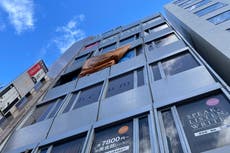 Japón: Investigan a sospechoso tras incendio fatal