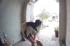 Trabajadora de Amazon rescata a joven del ataque de un pitbull y el acto es captado por la cámara del timbre