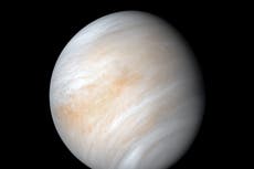 Formas de vida alienígenas “diferentes a todo lo que hemos visto” podrían estar escondidas en nubes de Venus