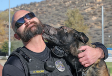Perro policía es apuñalado 27 veces en brutal ataque en California
