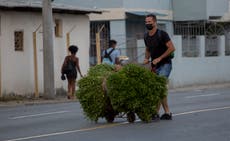 Santeros cubanos prevén enfermedades y complots en 2022 
