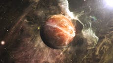 Meteorito de Marte que cayó a la Tierra podría revelar cuándo los extraterrestres podrían haber vivido en el planeta rojo