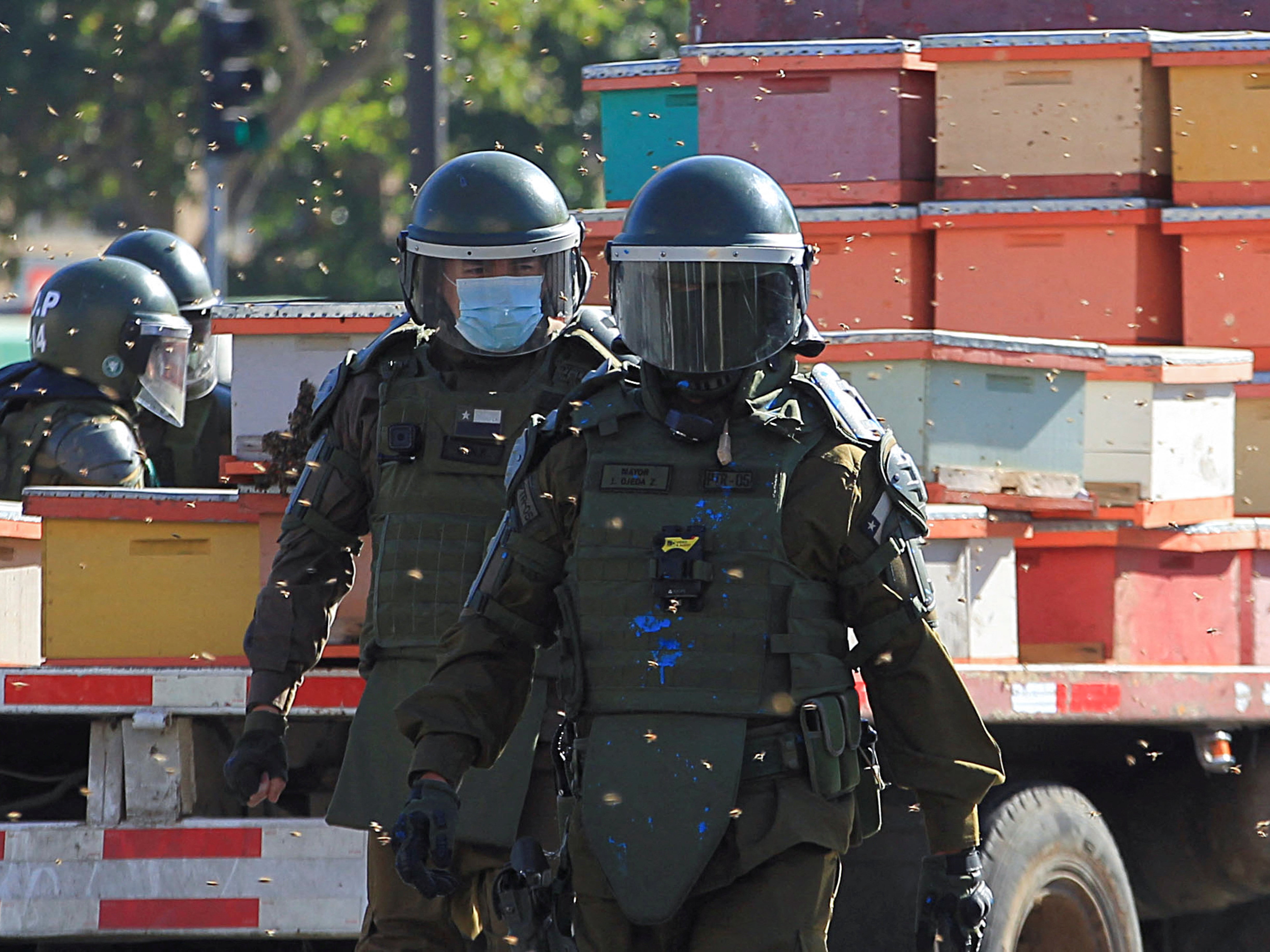 Las abejas vuelan alrededor de la policía antidisturbios durante una protesta en Chile