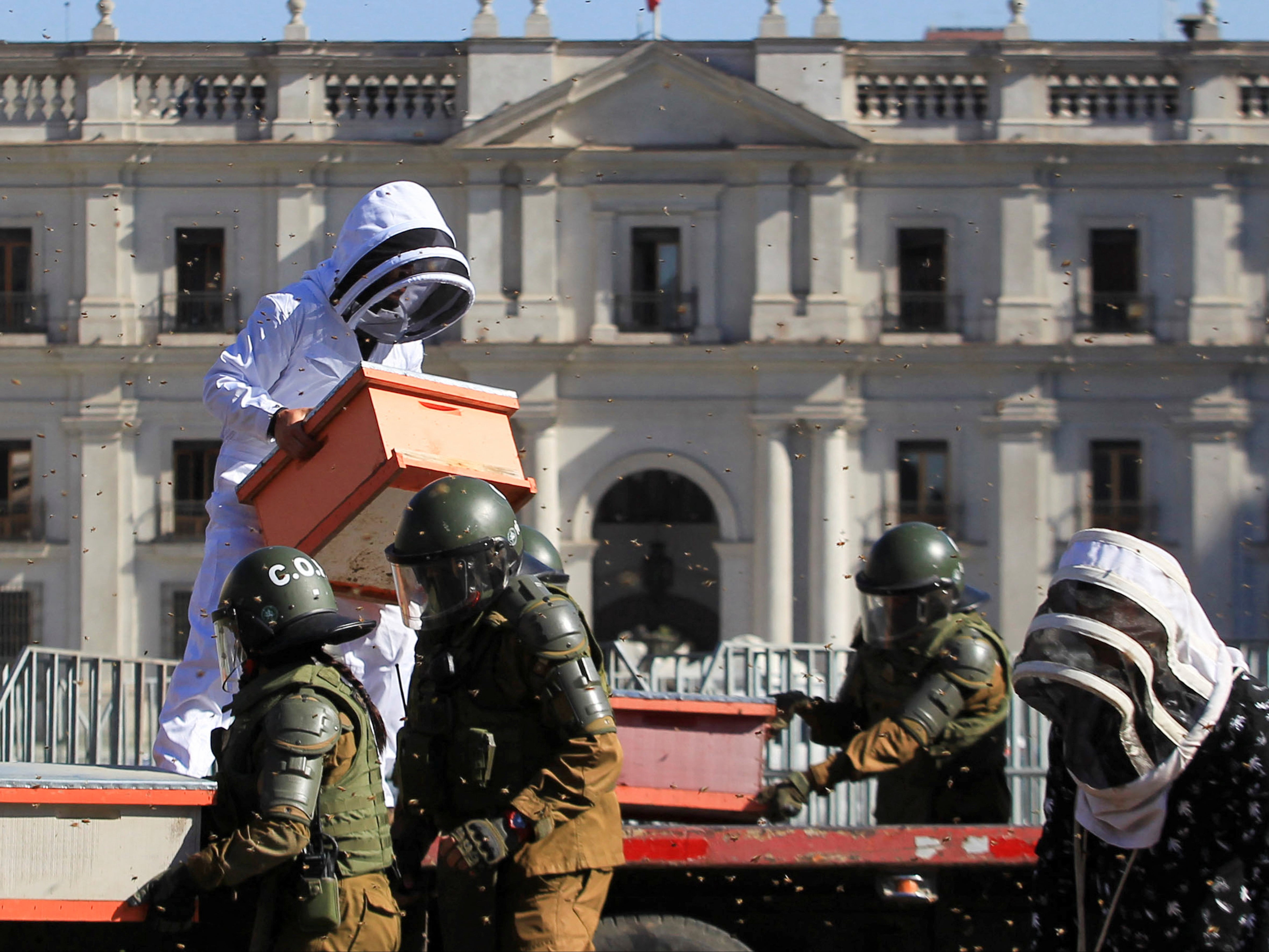 Apicultores protestan con panales llenos de abejas frente al palacio presidencial chileno