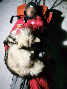 Montañista herido es salvado por perro que se acurrucó sobre él durante 13 horas