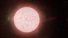 Explosión de estrella supergigante vista en vivo por astrónomos en avance sin precedentes
