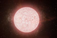 Explosión de estrella supergigante vista en vivo por astrónomos en avance sin precedentes