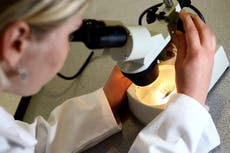 “Deltacron”: ¿Nueva variante de covid-19 o error de laboratorio?