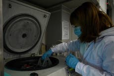 “Deltacron”: Contaminación de laboratorio es “posiblemente” responsable por híbrido delta y ómicron