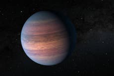 Un nuevo planeta tan grande como Júpiter fue descubierto por “científicos ciudadanos”