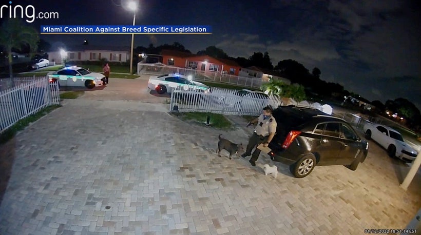 Vídeo de vigilancia muestra a policía matar a tiros a perro mascota por queja de ladridos en Miami