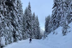 Cambio climático vuelve incierto el futuro del esquí nórdico