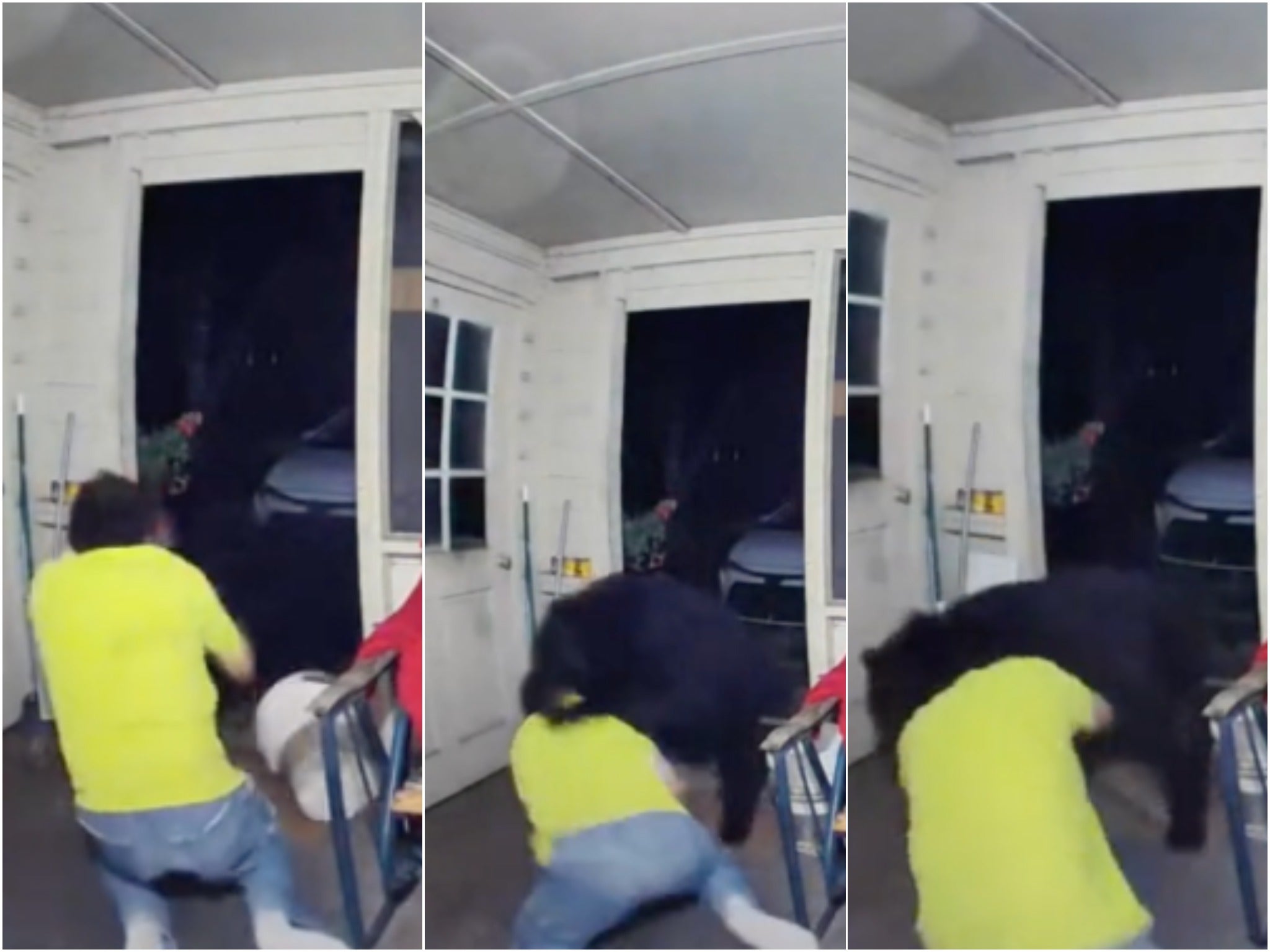 Un hombre de Florida lucha contra un oso en un dramático vídeo