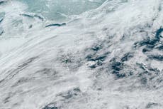 Advertencias por tormentas de nieve mientras millones en la costa este se preparan para un “ciclón bomba”