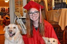 Estudiante que cuidaba a perros “sanguinarios” que le arrancaron la nariz y orejas demanda a dueños