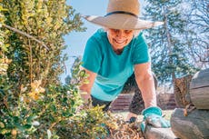 Practicar tenis, natación o jardinería para evitar los dolores musculares en la vejez, según un estudio