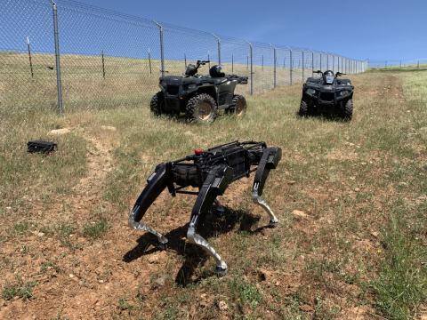 Estados Unidos prueba “perros robots” para cuidar la frontera con México