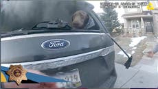 Policía rescata a perro de un auto en llamas en Colorado