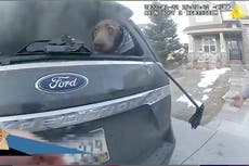 Policía rescata a perro de un auto en llamas en Colorado