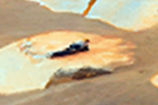 ¿Por qué se dice que un pedazo de roca es una prueba de vida en el planeta rojo?