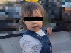 Muere niña de dos años tras comer galleta para perro envenenada en México