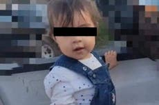 Muere niña de dos años tras comer galleta para perro envenenada en México