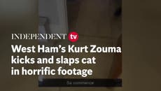 Aterradoras imágenes de Kurt Zouma torturando a su gato a golpes