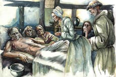 Estudio revela que la “peste negra” puede no haber matado a la mitad de Europa como se creía